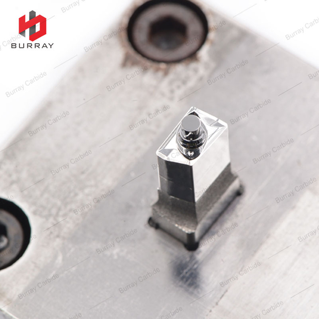 3R precision Mould JDMT070204R Powder Metallurgy Mould 