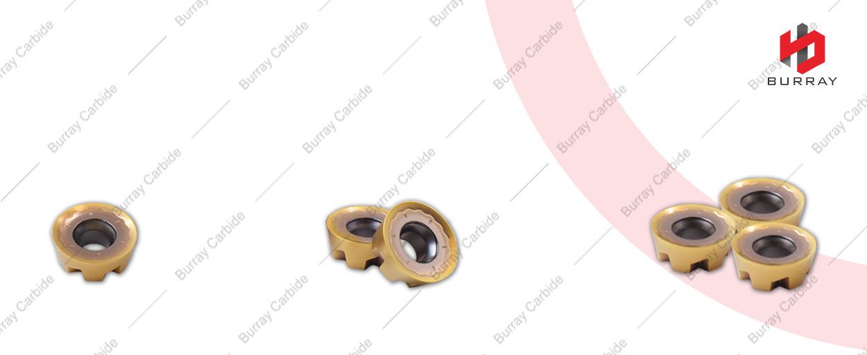 12239 RPHX1204M6EN-M31细节图