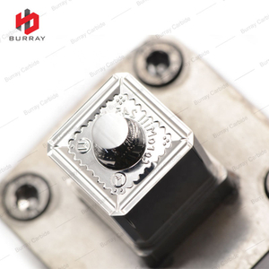OEM Customized 3R Moulds R245-18T6M-PM Carbide Punching Dies for Pressing Indexable Cutting Tool Insert