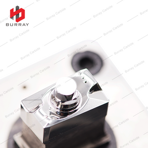 High-Precision 3R Mold APMT1604-DL Tungsten Carbide Steel Forming Dies Powder Metallurgy Pressing Mold