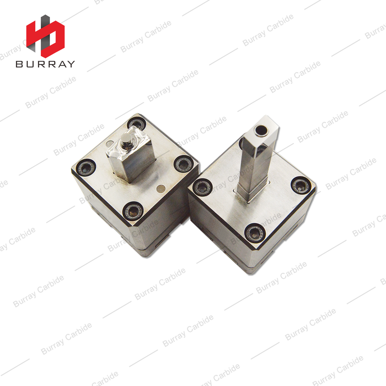 Customized 3R Mold Tungsten Carbide Punch and Die for Stamping Mirror Polishing Mold