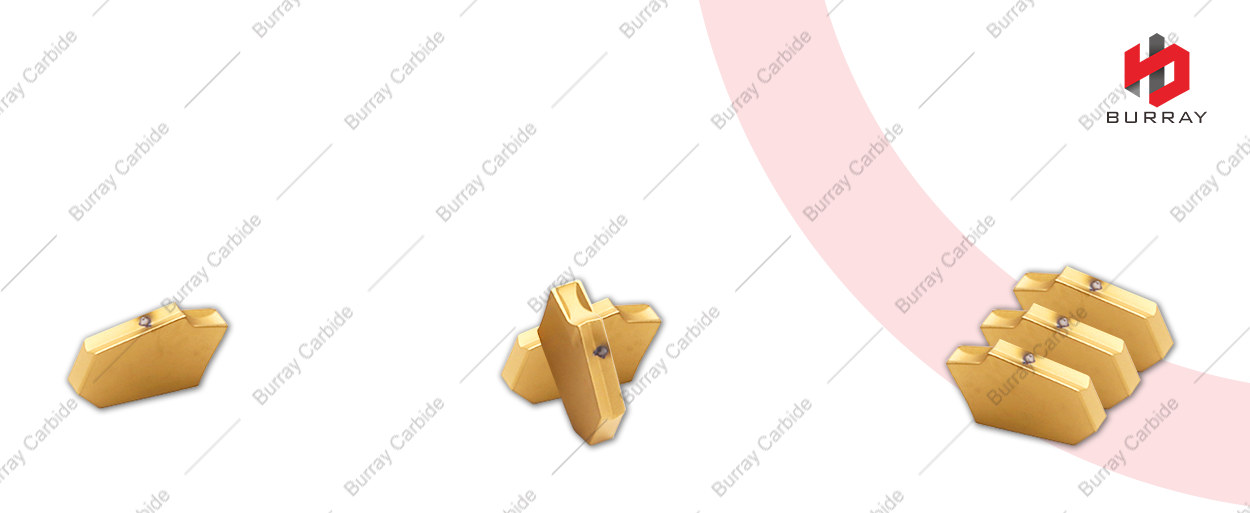 1217 TL1403 SP300 细节图