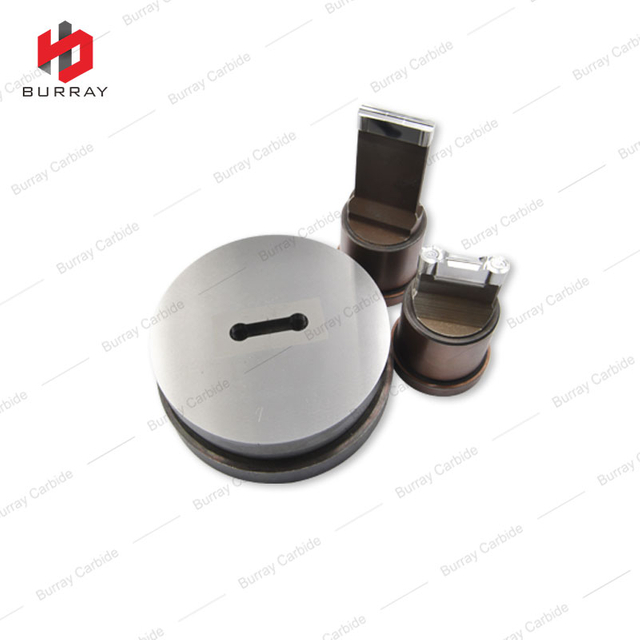 QCD3208-TL Special Shaped Punches and Die, Customized Mould