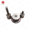 LNMT1306PNTR Powder Metallurgy Carbide Punching Mould 
