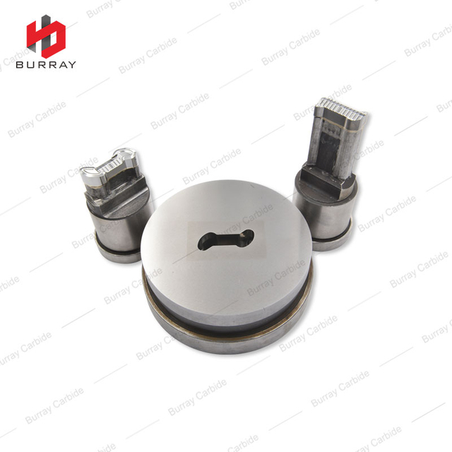 QC300806 Powder Metallurgy Punching Dies for Carbide Insert