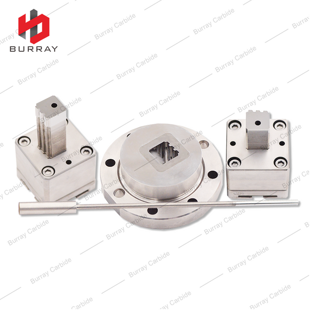 Custom S15 ER508 Z3 TMK UP PF Tungsten Carbide 3R Molds Punches for Polishing and Powder Metallurgy Compression Forming Molds