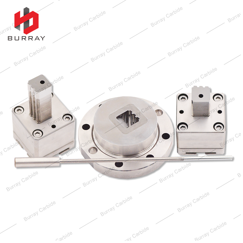 Custom S15 ER508 Z3 TMK UP PF Tungsten Carbide 3R Molds Punches for Polishing and Powder Metallurgy Compression Forming Molds