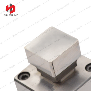 Factory Customized High Precision 3R Dies Carbide Cutting Dies SDMX250616ER300 Tungsten Carbide Dies