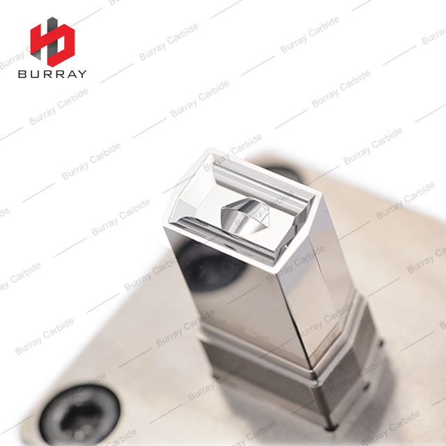 LEHX1506-B Powder Metallurgy Tungsten Steel Stamping Polishing 3R Die