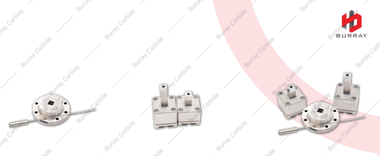 SNMG120408-PM(3R) （10）