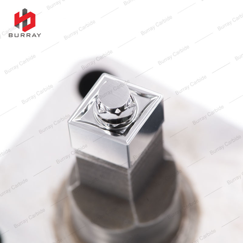 photobank - 2021-09-13T163422.196