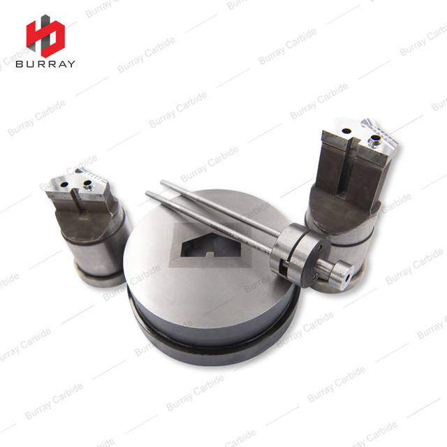 Tungsten Carbide Polished Heterotype Punch Dies