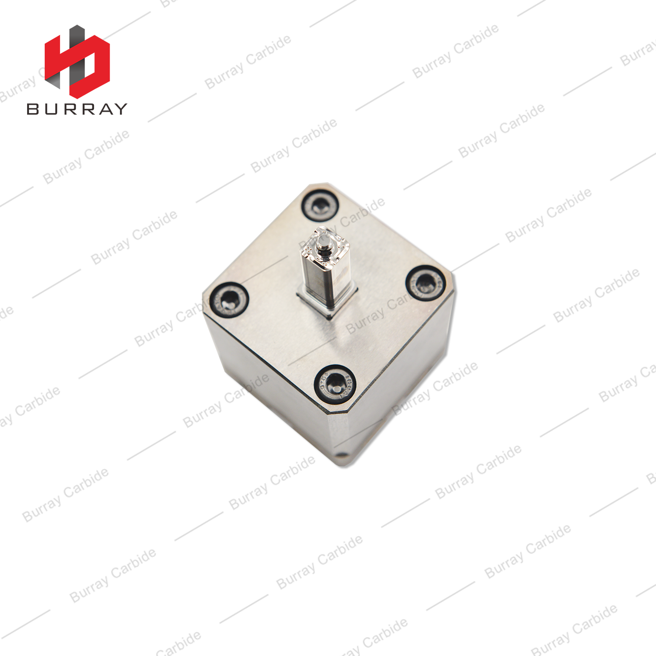 R490-08T316-M 3R Moulds for Pressing Precision Insert of R490-08T316-M