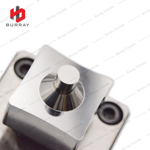 3R Powder Metallurgy Die SDUW250916ER100 Mirror Polished Die for Stamping