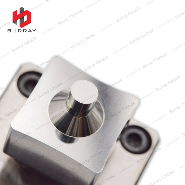 3R Powder Metallurgy Die SDUW250916ER100 Mirror Polished Die for Stamping