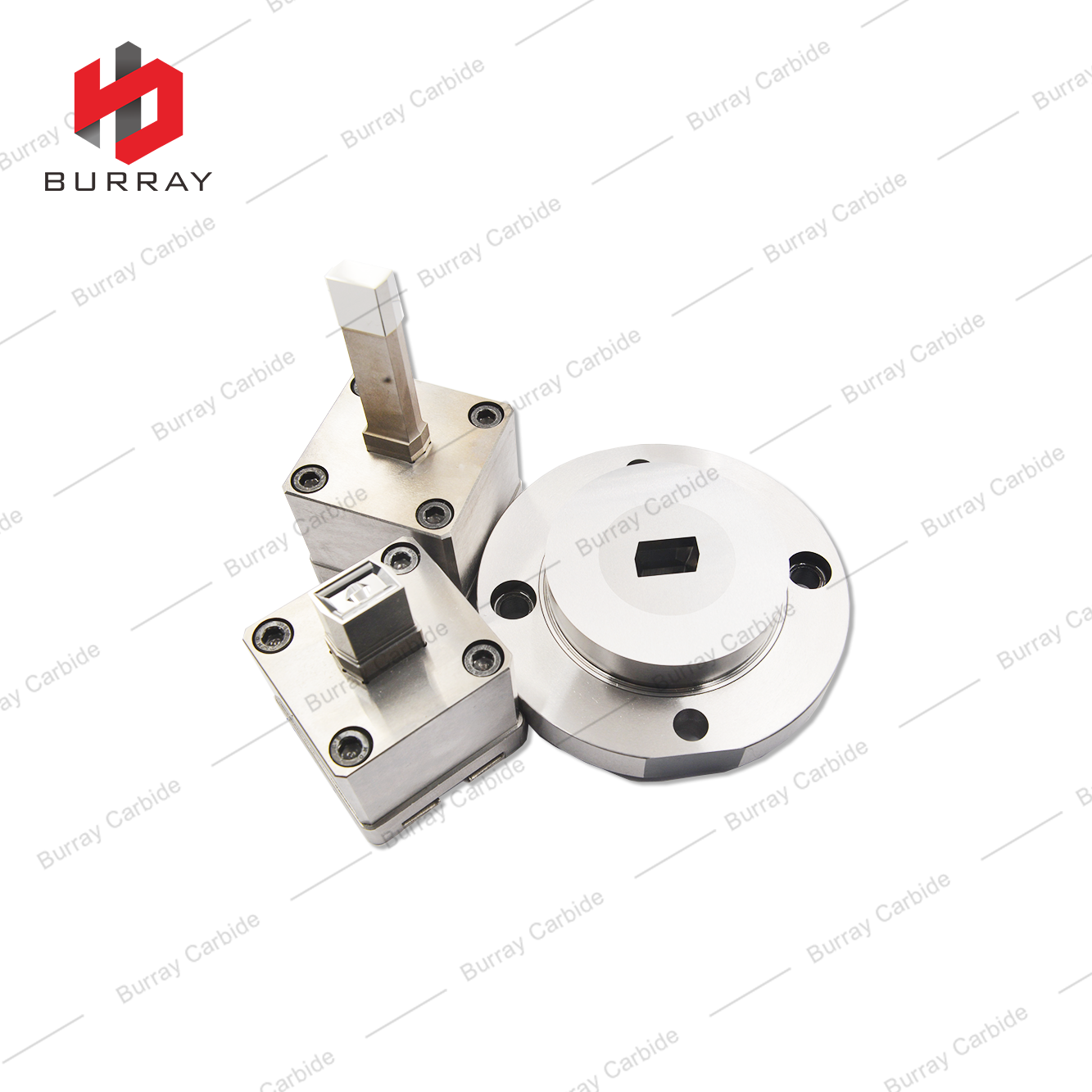 LEHX1506-B Powder Metallurgy Tungsten Steel Stamping Polishing 3R Die