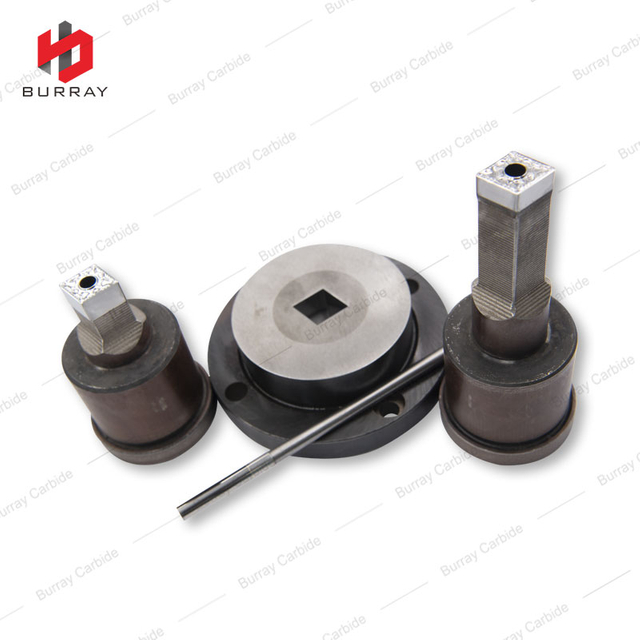 Carbide Powder Metallurgy Cutting Tool Insert Pressed Punching Dies