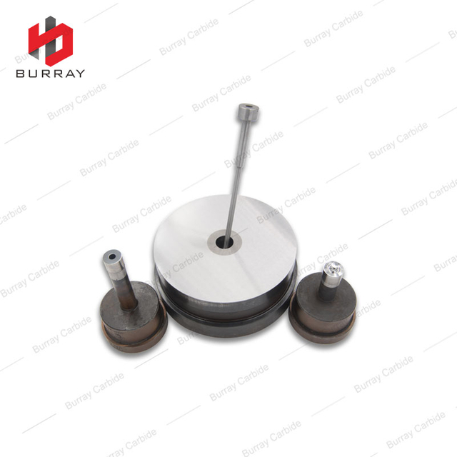 ROMW Carbide Round Insert Stamping Mould