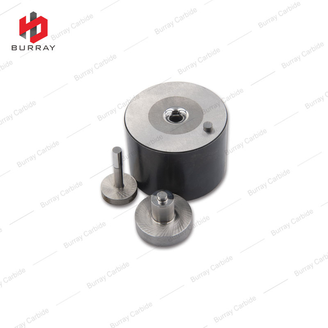 Tungsten Carbide Pressing Dies for Experiment