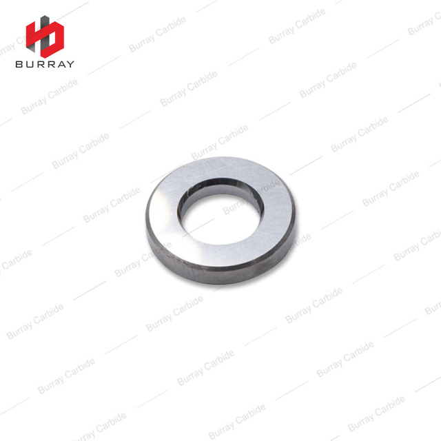 Tungsten Carbide Low Valve for Airless Piston Pump