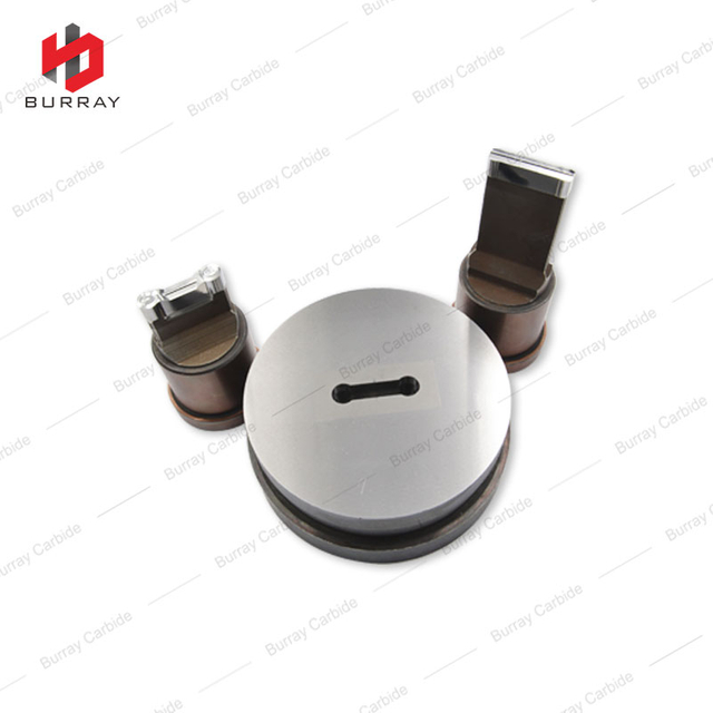 QCD3208-TL Special Shaped Punches and Die, Customized Mould