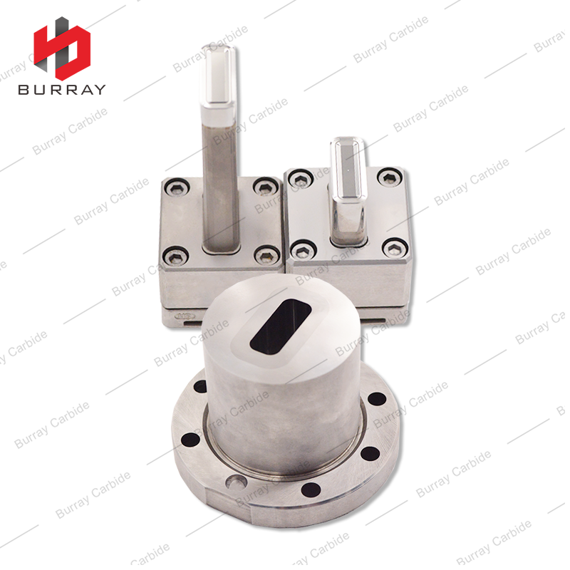 LNMX301940-23 Tungsten Carbide Insert for Powder Metallurgy 3R Compression Forming Molds
