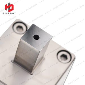 CNC Stamping Polishing Die SMCN120408 VH59 Tungsten Carbide 3R Die