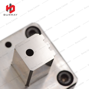 Carbide 3R Mold Stamping Mirror Polishing Die S15 IL 508 Z3 BC