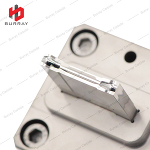 3R Mould of Grooving Inserts N123H2-0400-0002-CM Mirror Polished Punch and Die Pressing Mould