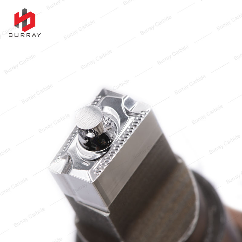 photobank - 2021-09-11T135716.013