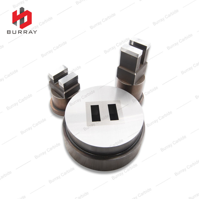 Carbide Mirror Polished Stamping Plate Mould
