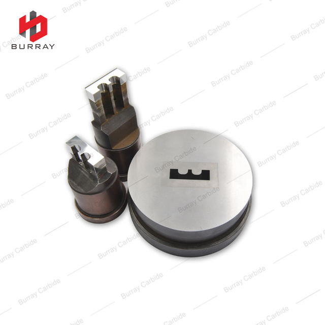32x10x4-R3 Tungsten Carbide Customized Mold 