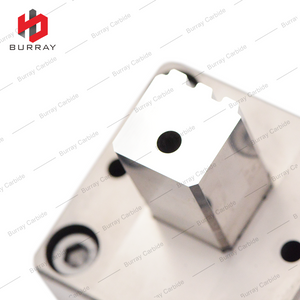 Custom S15 ER508 Z3 TMK UP PF Tungsten Carbide 3R Molds Punches for Polishing and Powder Metallurgy Compression Forming Molds