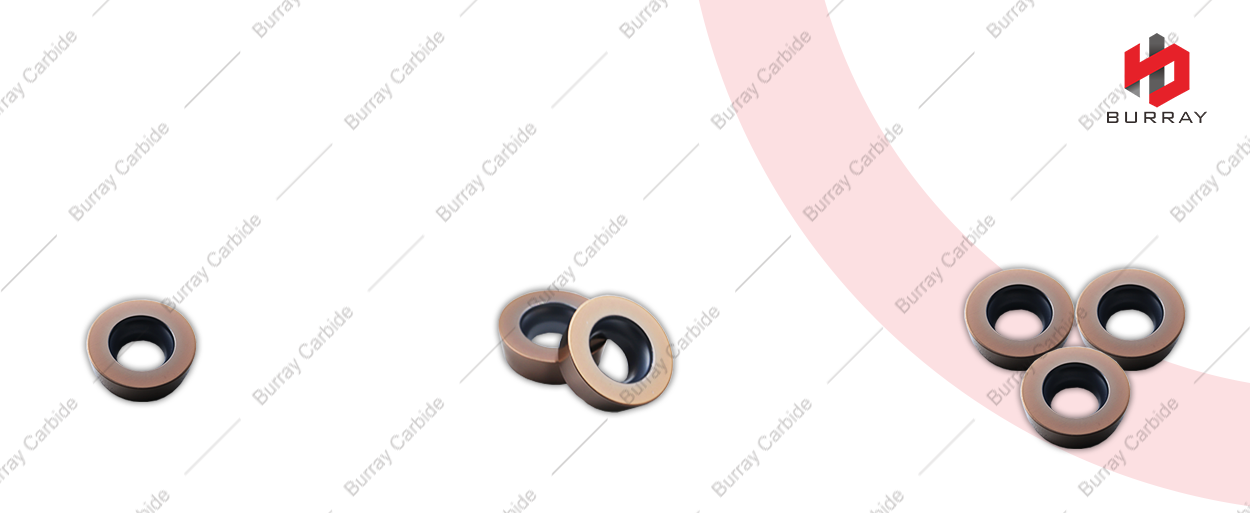 1081 RPMW1003MO 细节图