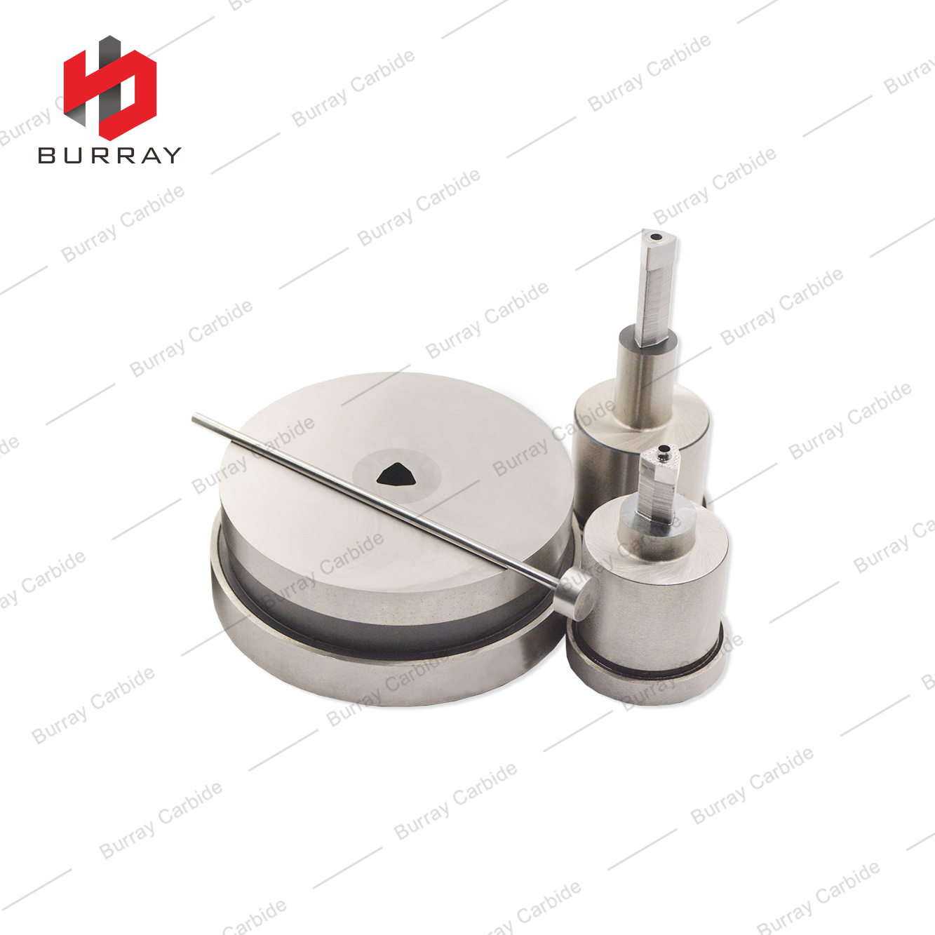 Carbide Dies for Pressing Turning Inserts WCMX050308 R-51 Powder Metallurgy Moulds
