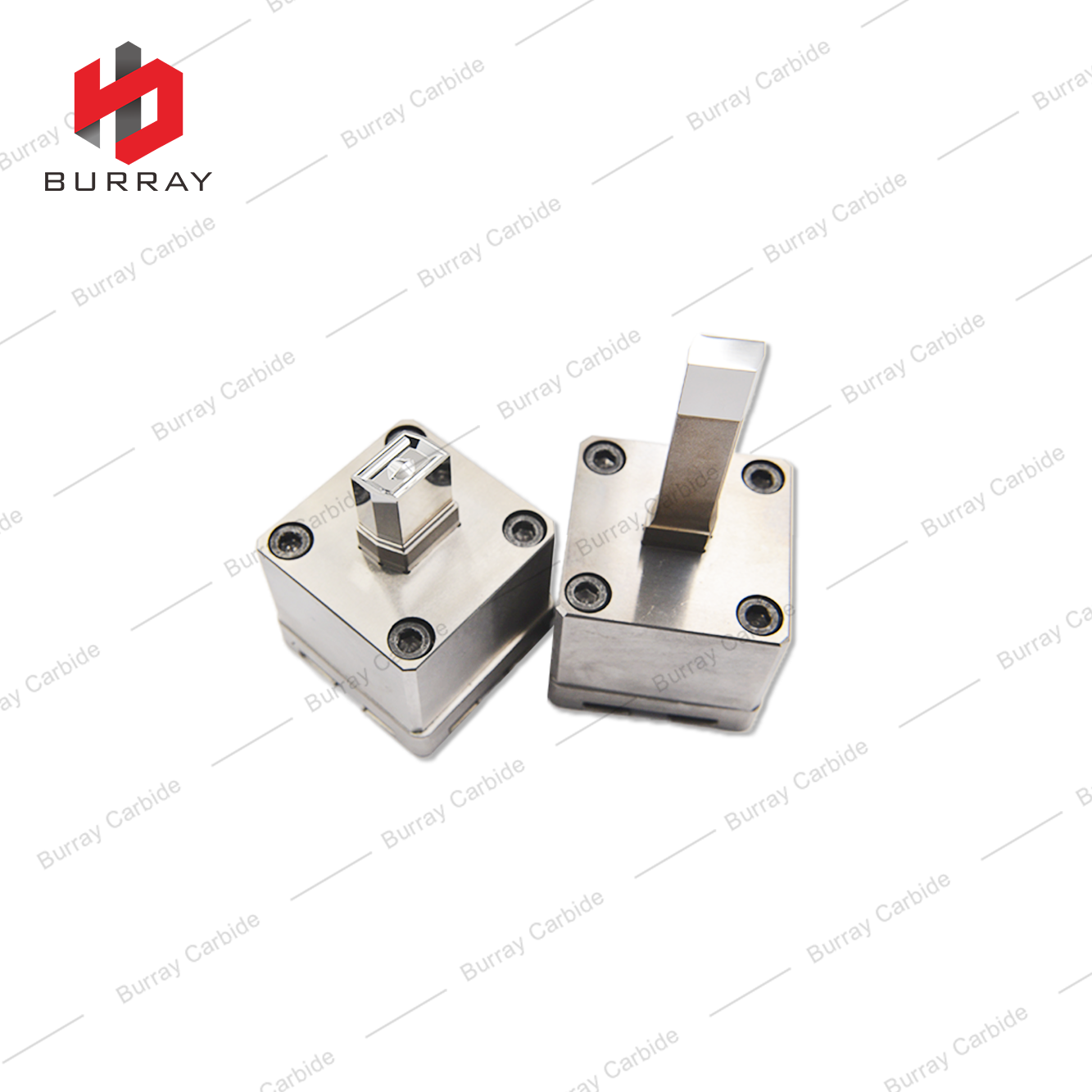 LEHX1506-B Powder Metallurgy Tungsten Steel Stamping Polishing 3R Die