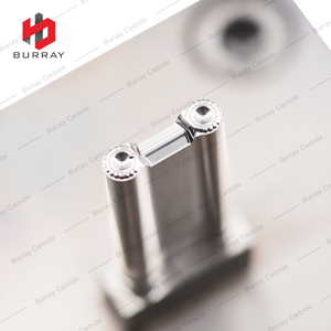 3R Powder Metallurgy Mold GEF1315-PRS Precision Stamping Die for Compression Molding of CNC Inserts
