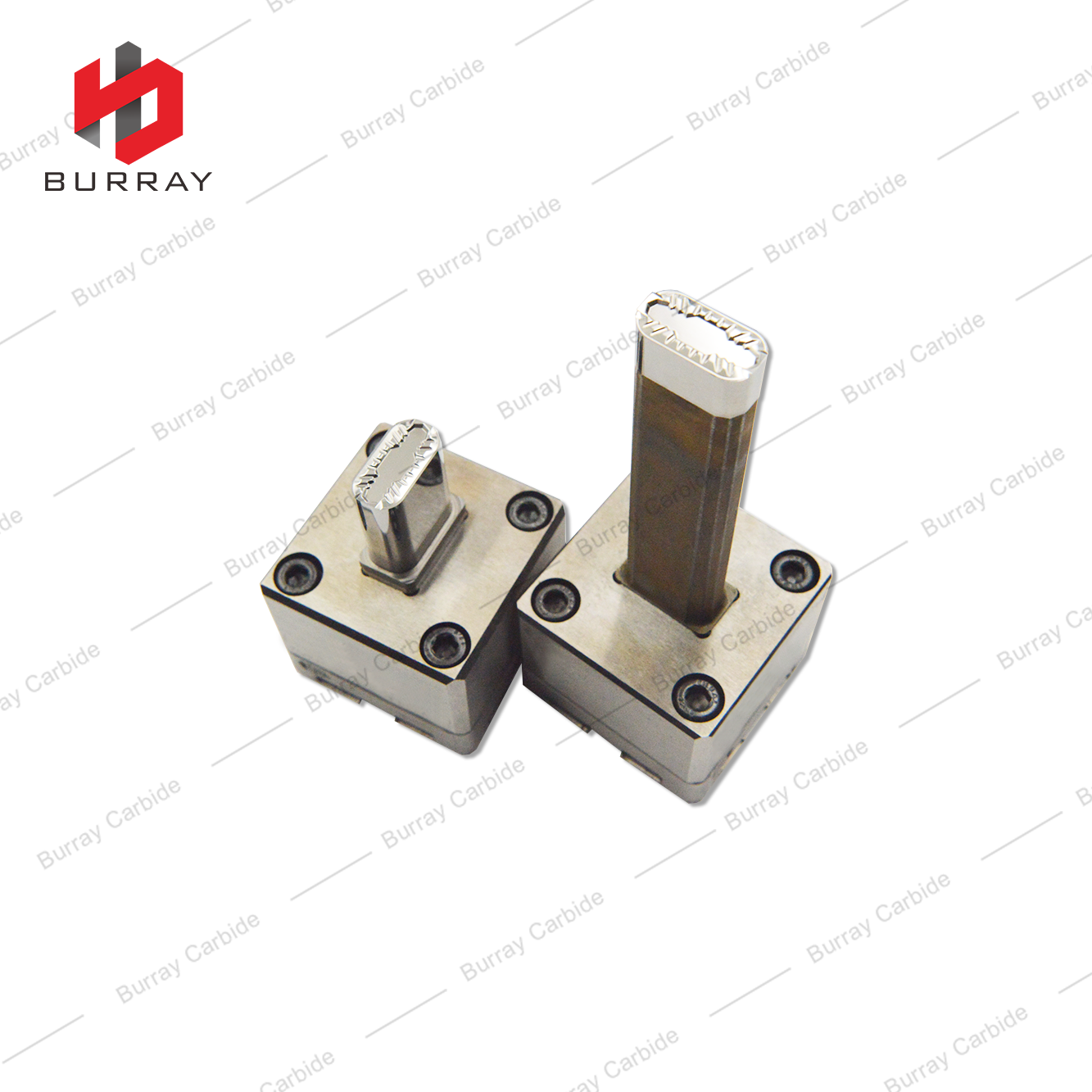 Carbide 3R Dies for Pressing Heavy Duty Milling Inserts LNMX191940-53 Powder Metallurgy Moulds