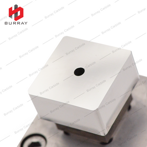 Customizable Powder Metallurgy Dies SDMX 250616E 3R Mold SDMX Mirror‑Polished Stamping Molding Die