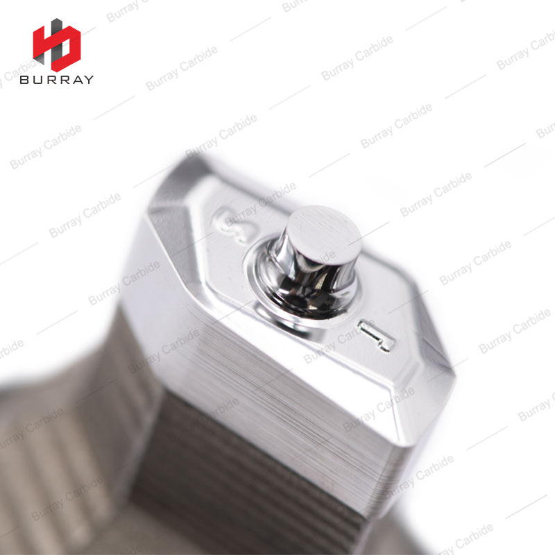 photobank - 2021-09-11T160236.788