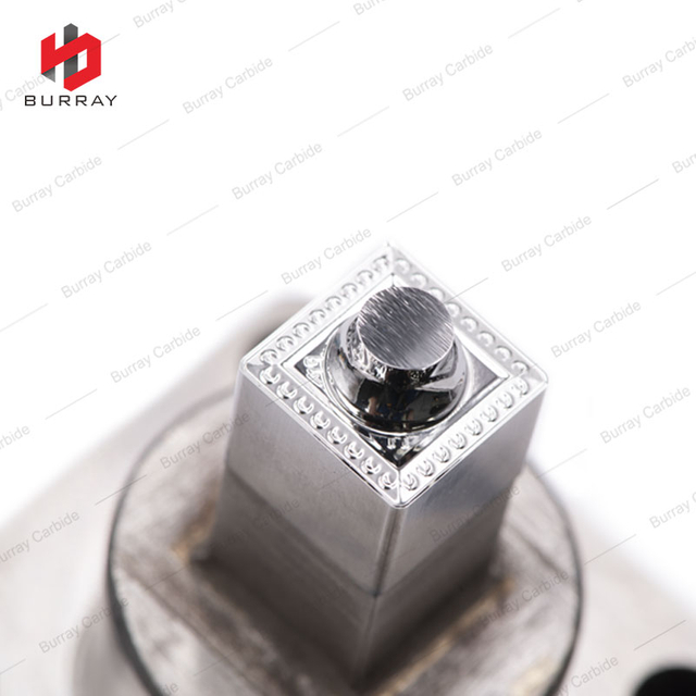SPMT Powder Metallurgy Dies for Pressing Square Insert