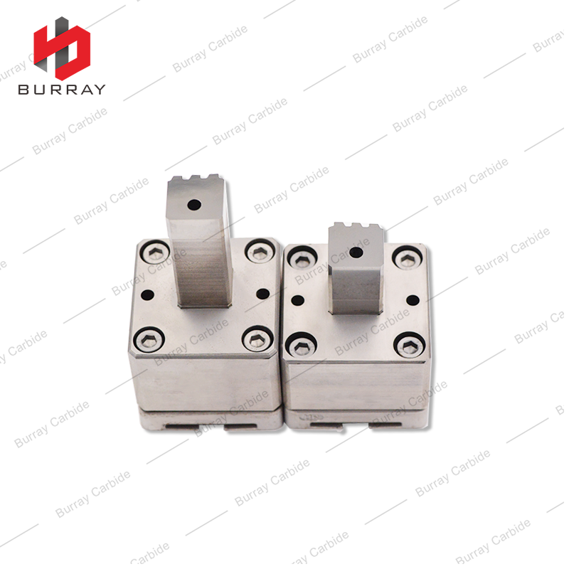 Custom S15 ER508 Z3 TMK UP PF Tungsten Carbide 3R Molds Punches for Polishing and Powder Metallurgy Compression Forming Molds