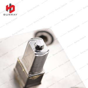 3R Carbide Dies BLMP0603R-M for Pressing Tungsten Carbide Milling Inserts BLMP0603R-M Precision Moulds