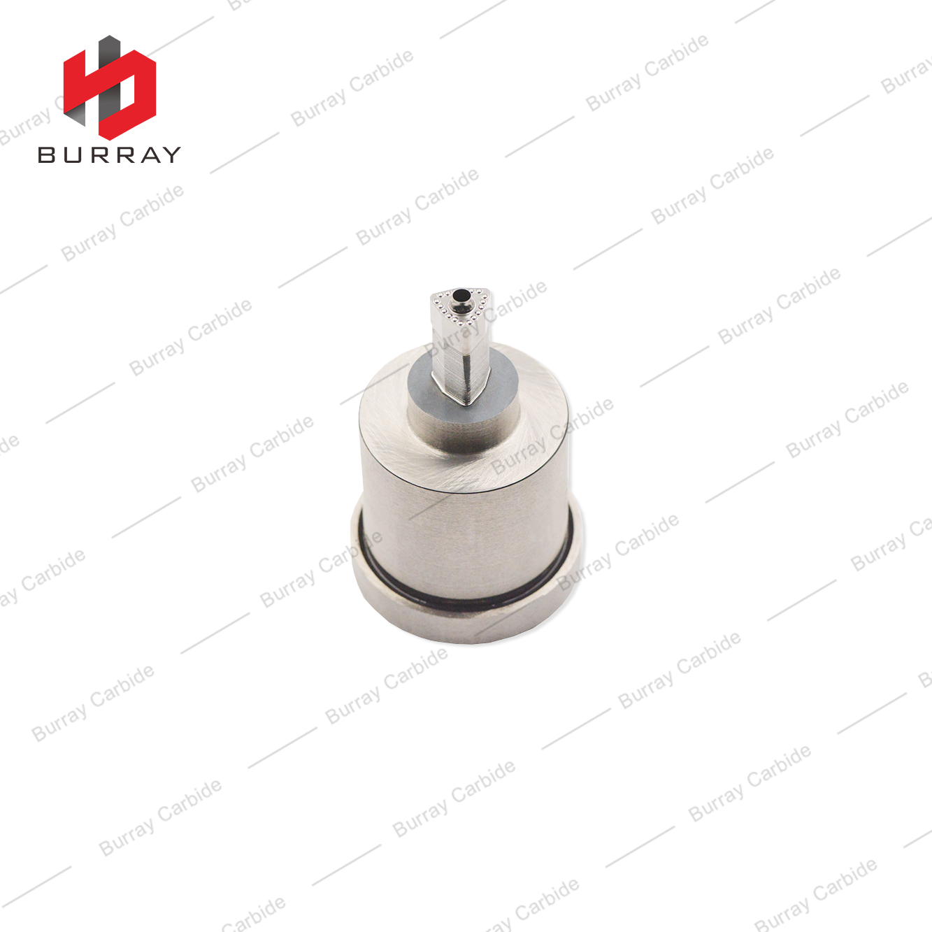 Carbide Dies for Pressing Turning Inserts WCMX050308 R-51 Powder Metallurgy Moulds