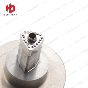 Carbide Dies for Pressing Turning Inserts WCMX050308 R-51 Powder Metallurgy Moulds