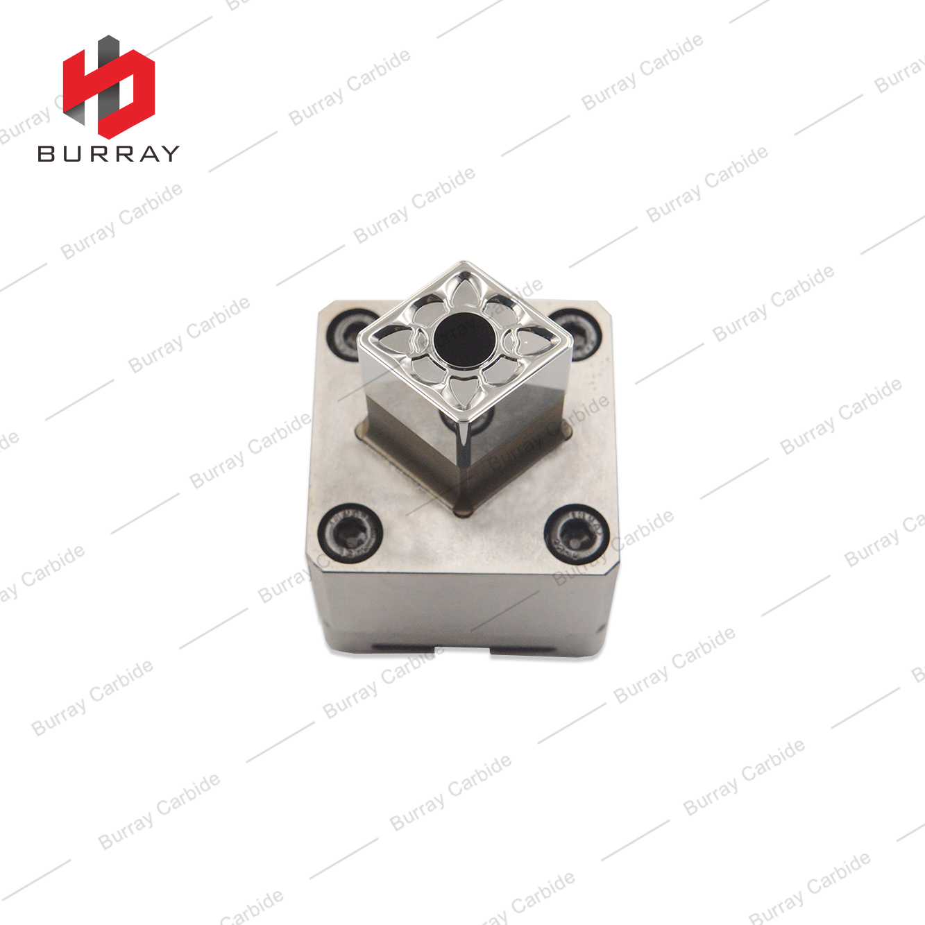 Customizable 3R Mold for Turning Insert Mold CNMG120404E-PM with Years of Powder Processing Experience