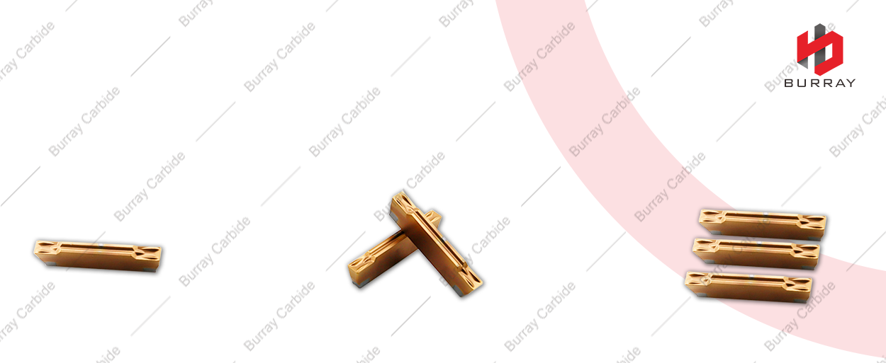 1099 MGMN200-G 细节图