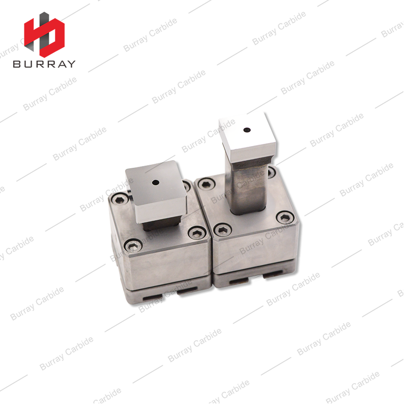 Customizable Powder Metallurgy Dies SDMX 250616E 3R Mold SDMX Mirror‑Polished Stamping Molding Die