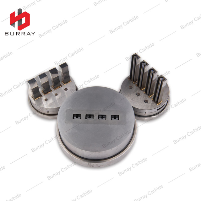 Magnetic Material Powder Metallurgy Customized Mould