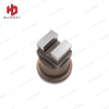 Carbide Mirror Polished Stamping Plate Mould